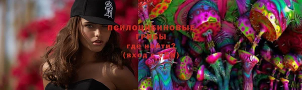 гидропоника Алексеевка