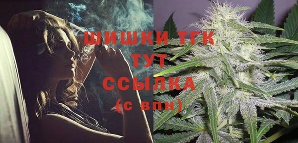 прущие грибы Алексин
