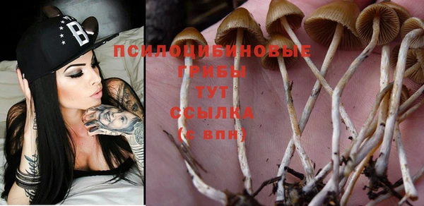 гидропоника Алексеевка