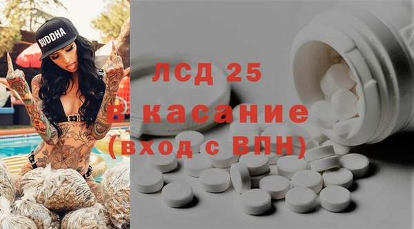 прущие грибы Алексин