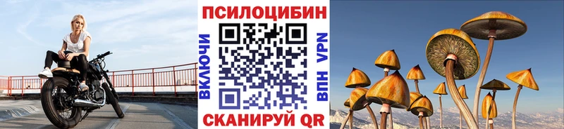 как найти закладки  Лениногорск  Псилоцибиновые грибы мицелий 